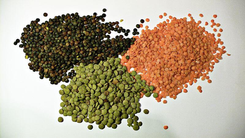type of lentil