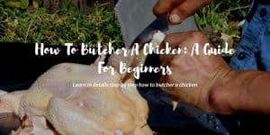 how to butcher a chicken